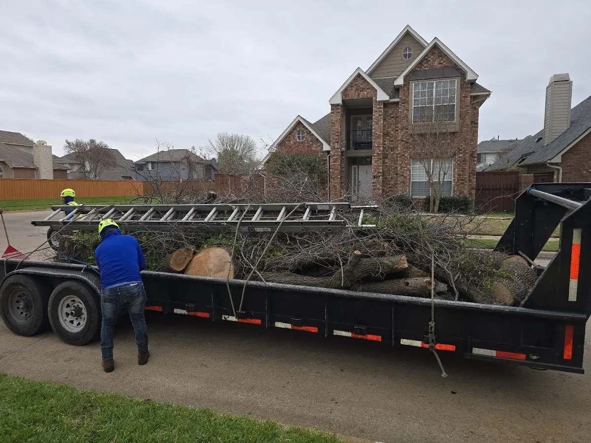 Expert Tree Fertilization with proper safety equipment in Hillsborough
